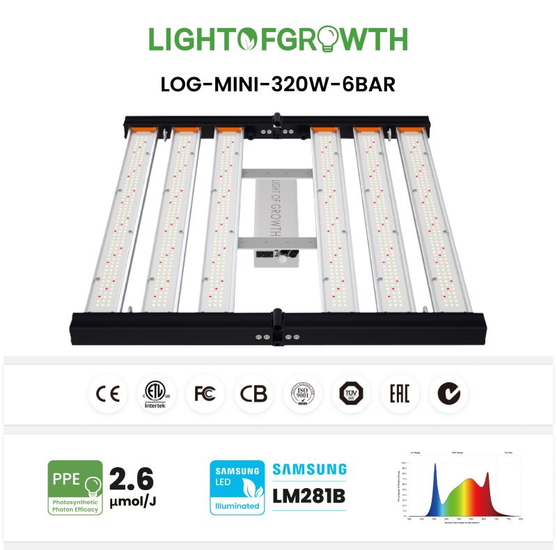 320W Dimmable Full Spectrum Grow Light 6 Bar – Lightofgrowth